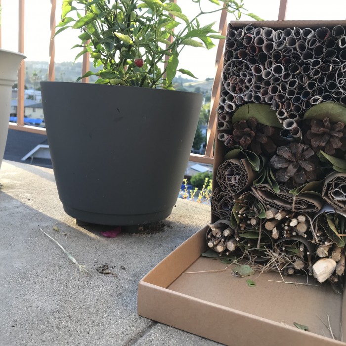 Image of a completed Bug Hotel